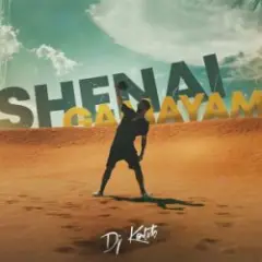 Shenai Gamayam (Original Mix)