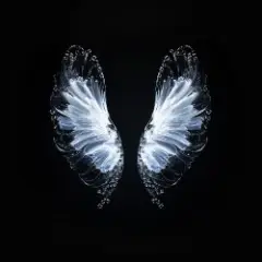 Believe
