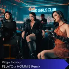 Virgo Flavour (Pelayo & Hommie Remix)