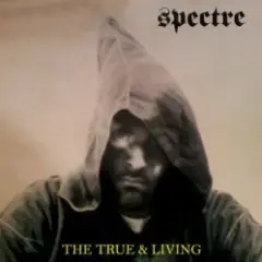 Spectre — Operation World Domination
