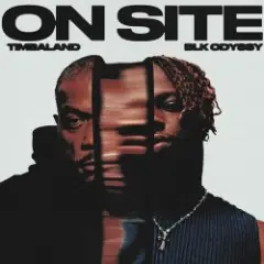 Timbaland & BLK ODYSSY — ON SITE