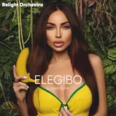 Relight Orchestra — Elegibo (Dj Dark Remix)
