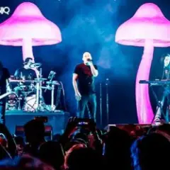 Infected Mushroom — Mixed by G Light live mix from Exotica Gold