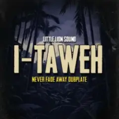 Never Fade Away Dubplate