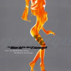 The World Is Not Enough