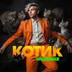 Котик