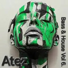 Bass House Vol6.