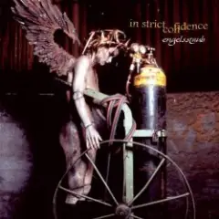 In Strict Confidence — Engelsstaub (Implant Mix)