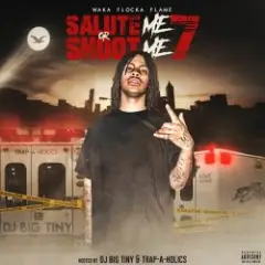 Waka Flocka Flame — Fight