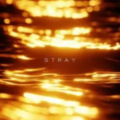 Stray