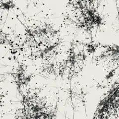 Taylor Deupree — Everything's Gone Grey