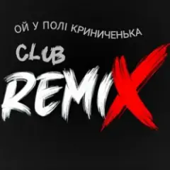 Ой у полі Криниченька (Club Remix)