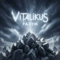 ViTaLiKuS — Разум