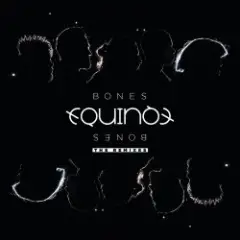 Bones