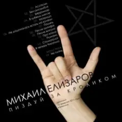Михаил Елизаров — Ассасин