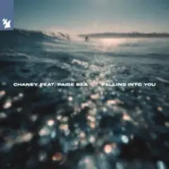 Falling Into You