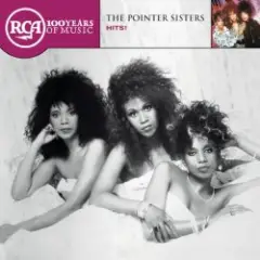 Jump (For My Love)  (Single Remix)