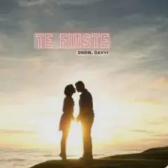 Te Fuiste