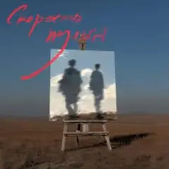 Скорость пульса