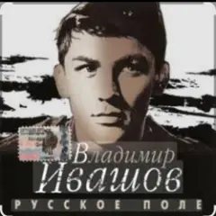 Поле, русское поле