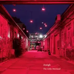 Aseigh — New Whale