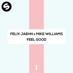 Felix Jaehn x Mike Williams — Feel Good