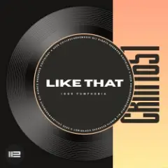 Igor Pumphonia — Like That (Dub)