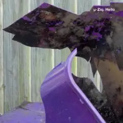 Mushroom Compost