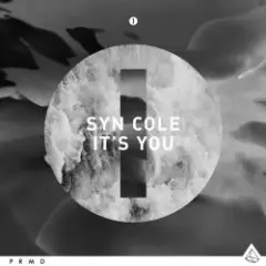 It's You (Original Mix)