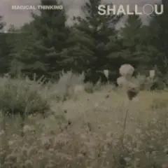 Shallou — Forget