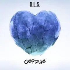 D.L.S. — Сердце