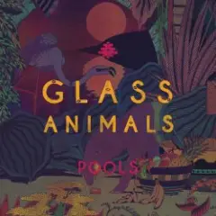 Glass Animals — Pools