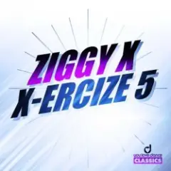 Ziggy X — Vikinx