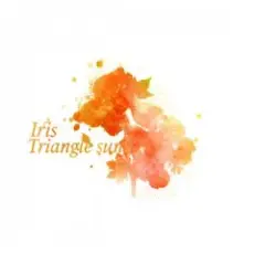 Triangle Sun — Flower Dance