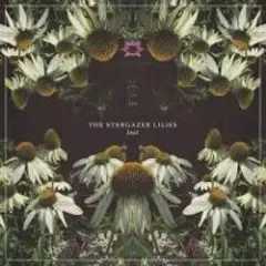 Stargazer
