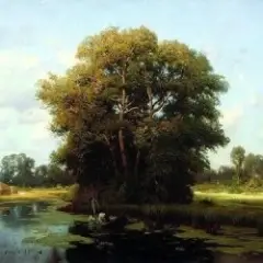 Льонок — Шумiла сосна i явiр