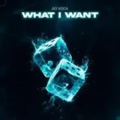 What I Want