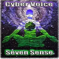 Seven Sense (Mix)