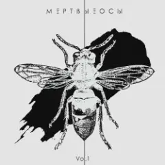 Мёртвые Осы — Арлекин
