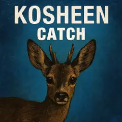 Kosheen — Catch