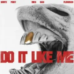 Do It LIke Me (VIP)