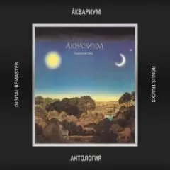 Великий дворник