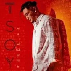 TSOY — Пледик