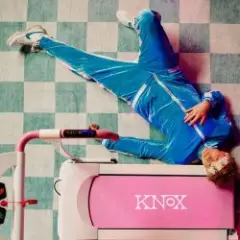 Knox — D.N.A