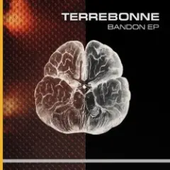 Bandon (Aquasion Remix)