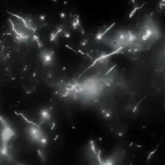 RAW NOIZE — Versatile - Hartekk TikTok version