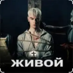 Живой