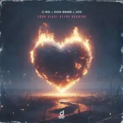 C-Ro & Don Bnnr & JOS — Your heart keeps burning