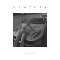 V E N T U R A — РОЗЫ ТЕМНО-АЛЫЕ