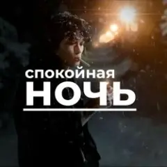 Спокойная ночь
